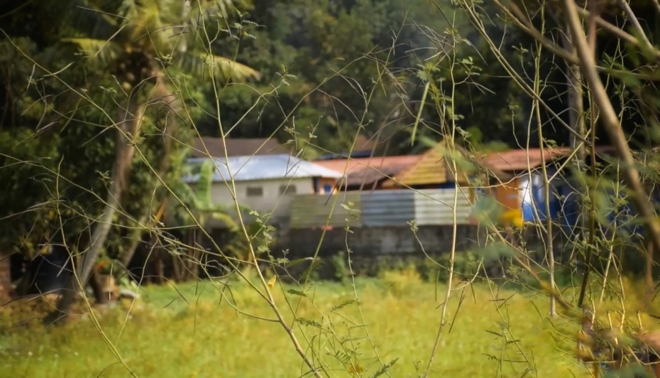 An awesome view of Hasthinapuri shop from a paddy field