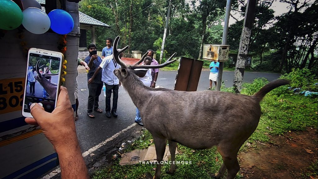 An Exciting Travel to Malakkapara