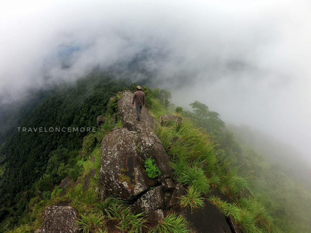 I was lucky to reach Muthukora hills, the heaven hidden in the mist.